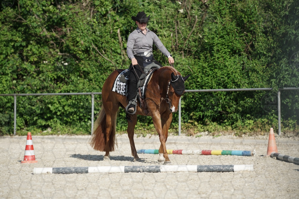 s_APF06960.jpg